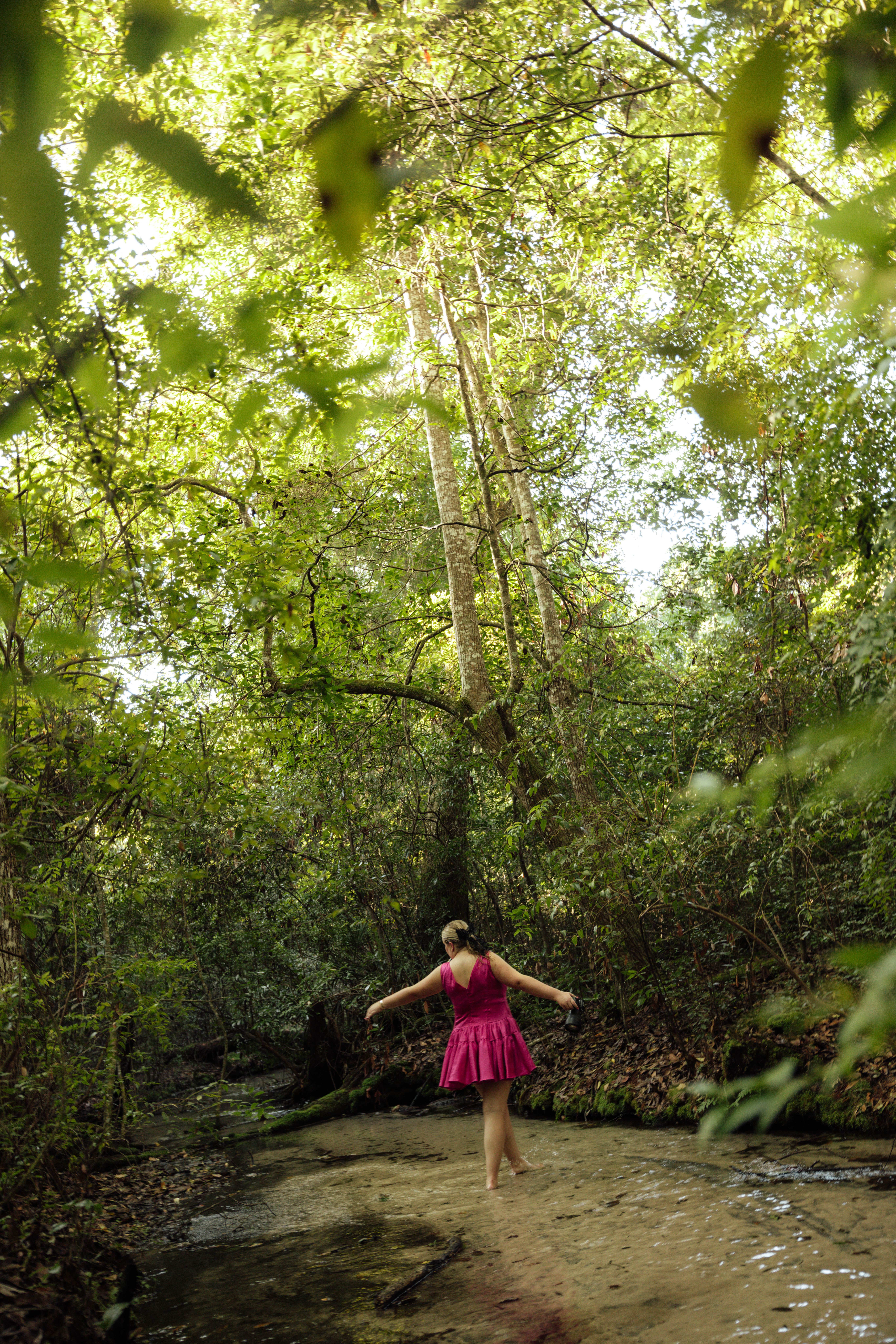 Created by Caitlynne is a Gainesville, Florida photographer. This photo is a wide shot of Caitlynne in the creek at Goldhead Branch State Park in Keystone Heights, Florida.