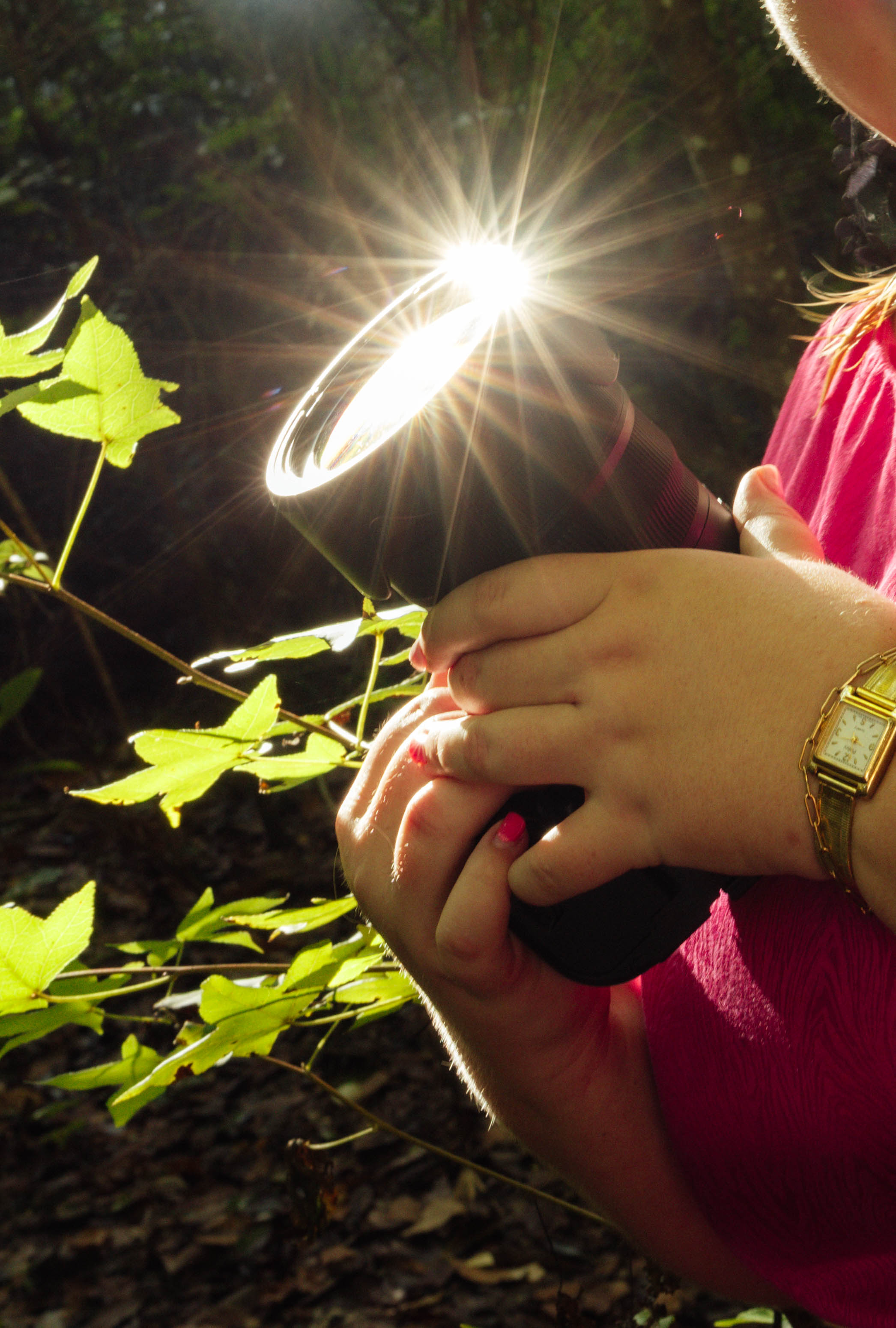 Created by Caitlynne is a Gainesville, Florida photographer. This photo is a close up shot of the light hitting her camera perfectly at Goldhead Branch State Park in Keystone Heights, Florida.