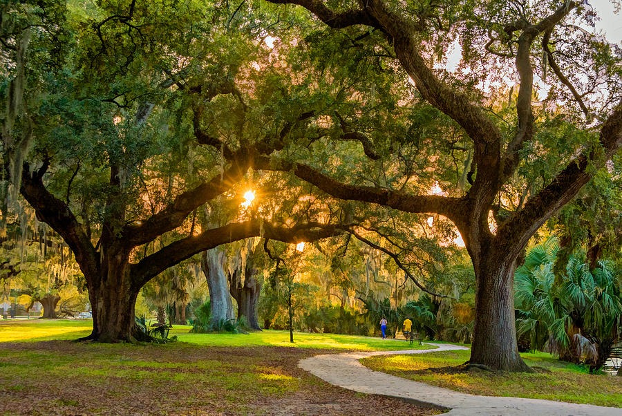 things to do in New Orleans