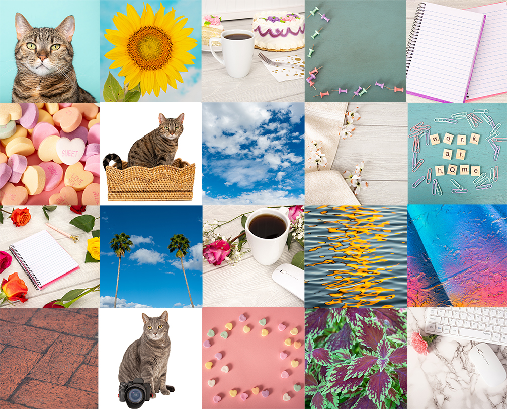 Stock Photo Free Sample Pack
