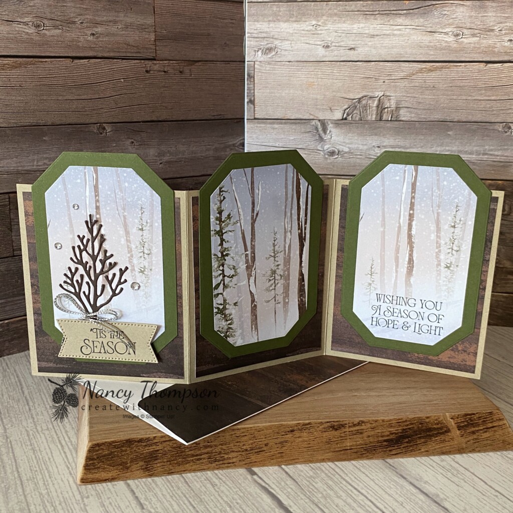 One Horse Open Sleigh Tri-Panel Fun Fold