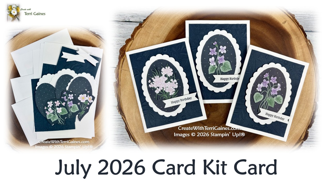 New Stampin' Up! Packaging for Stamp Sets & Dies! Storage Ideas
