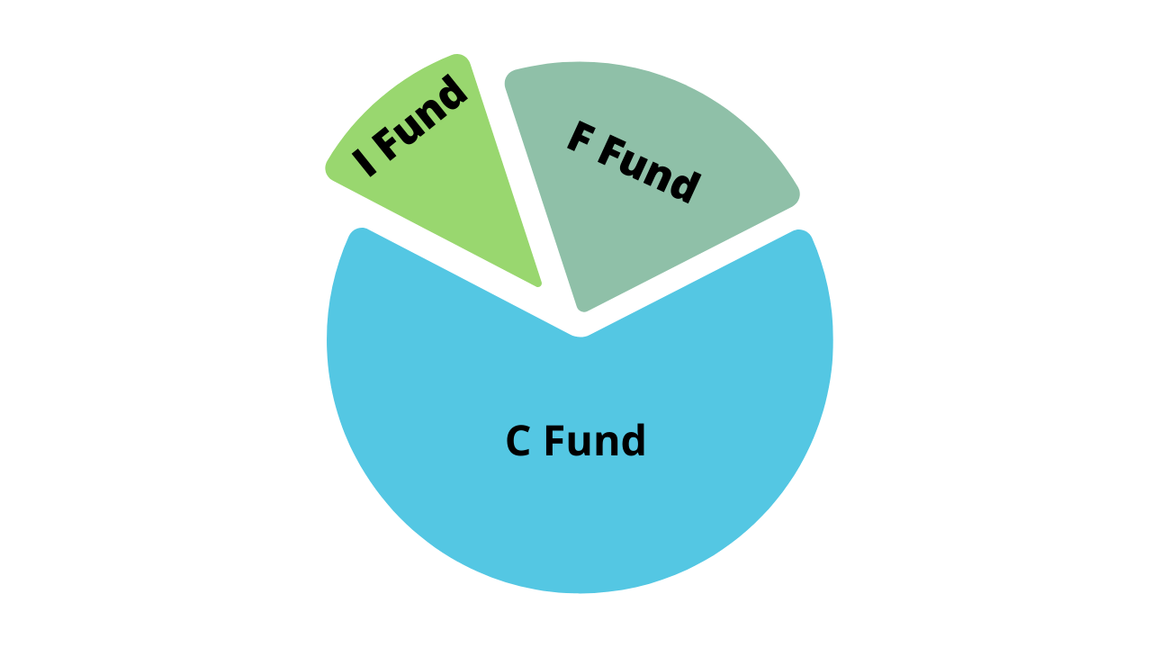 Diversification: Reducing The Risk In Your TSP
