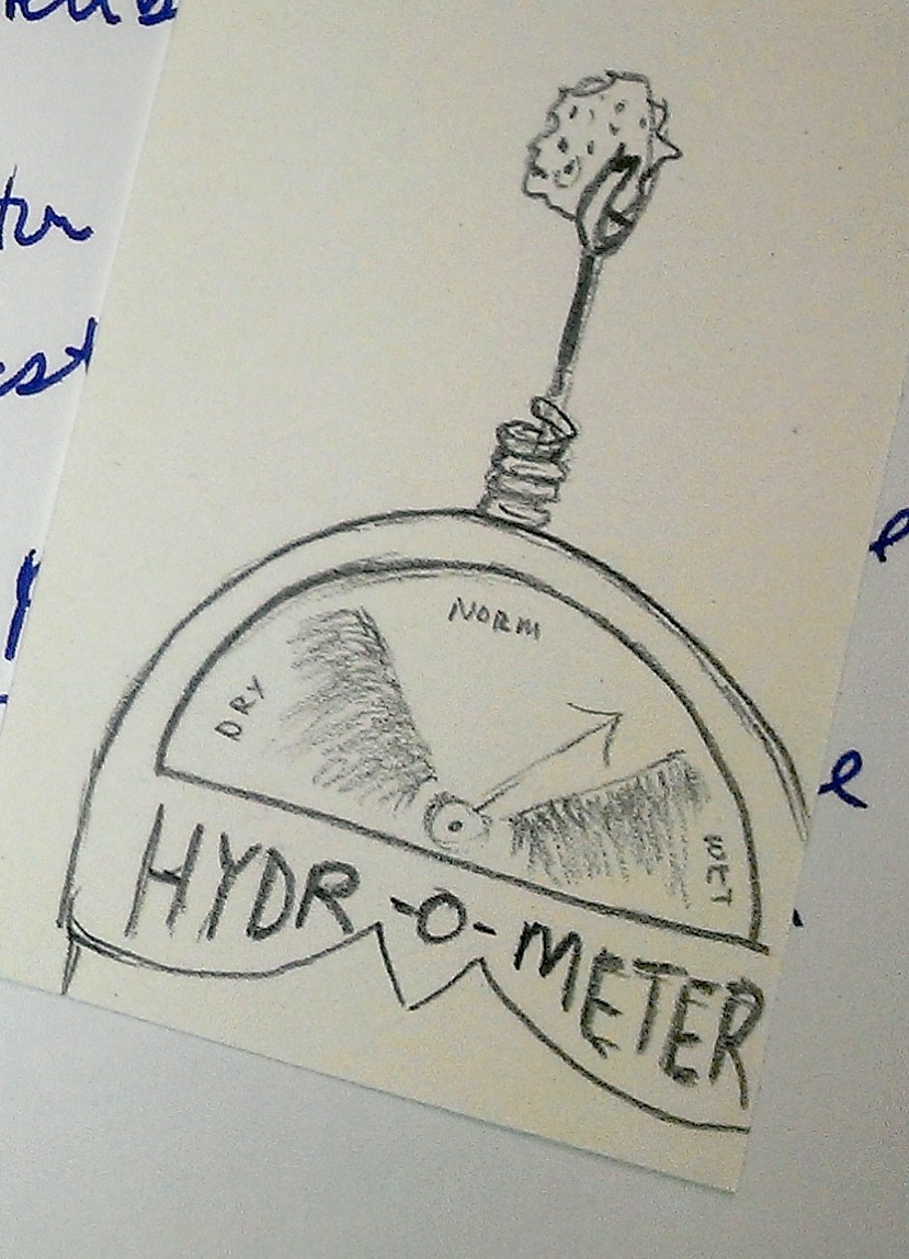 Hydrometer Sketch