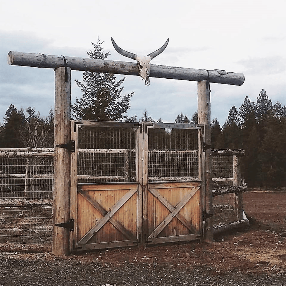 Large wood arch double door garden gate with a cow skull in the middle of the arch