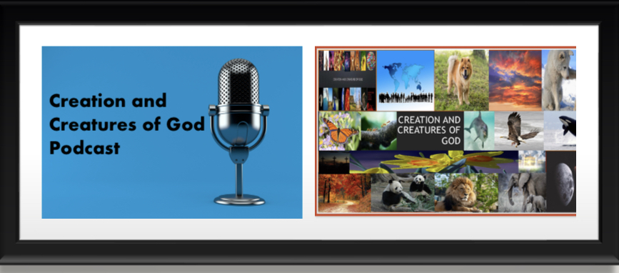 Creation and Creatures of God Logo