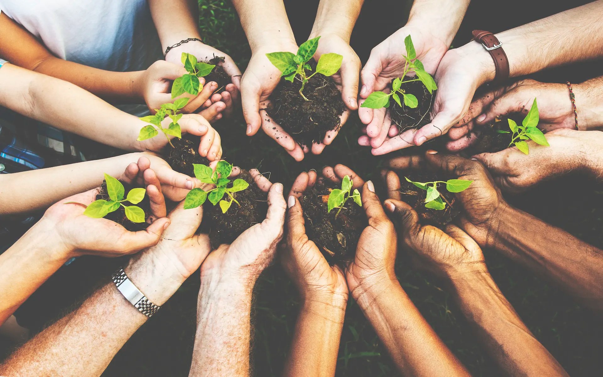 care for creation
