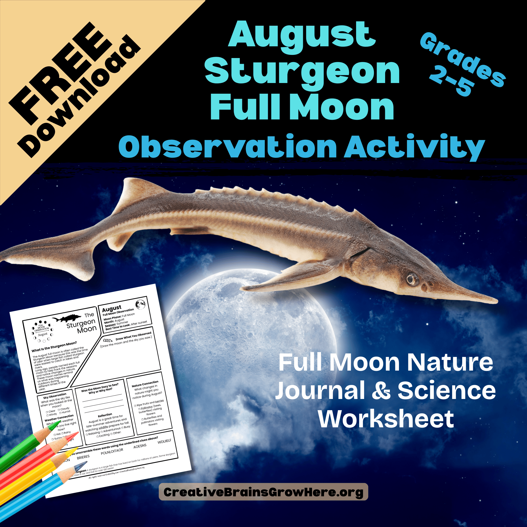 Free August Sturgeon Moon Observation Printable for Kids: A Fun Back-to-School Nature Science Activity