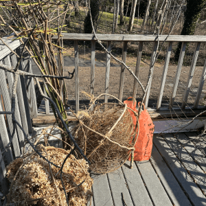 variety of natural material experiments