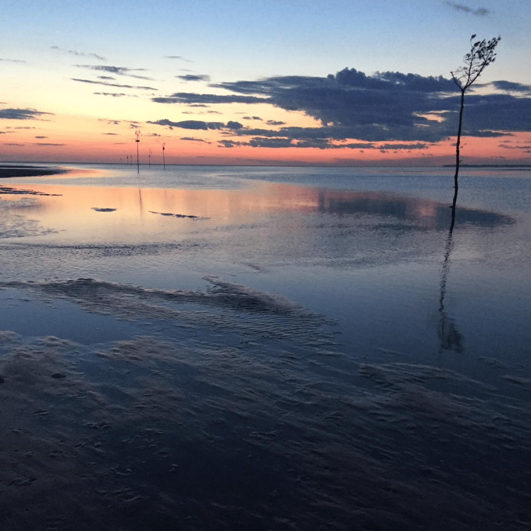 Rock Harbor sunset with clam trees
