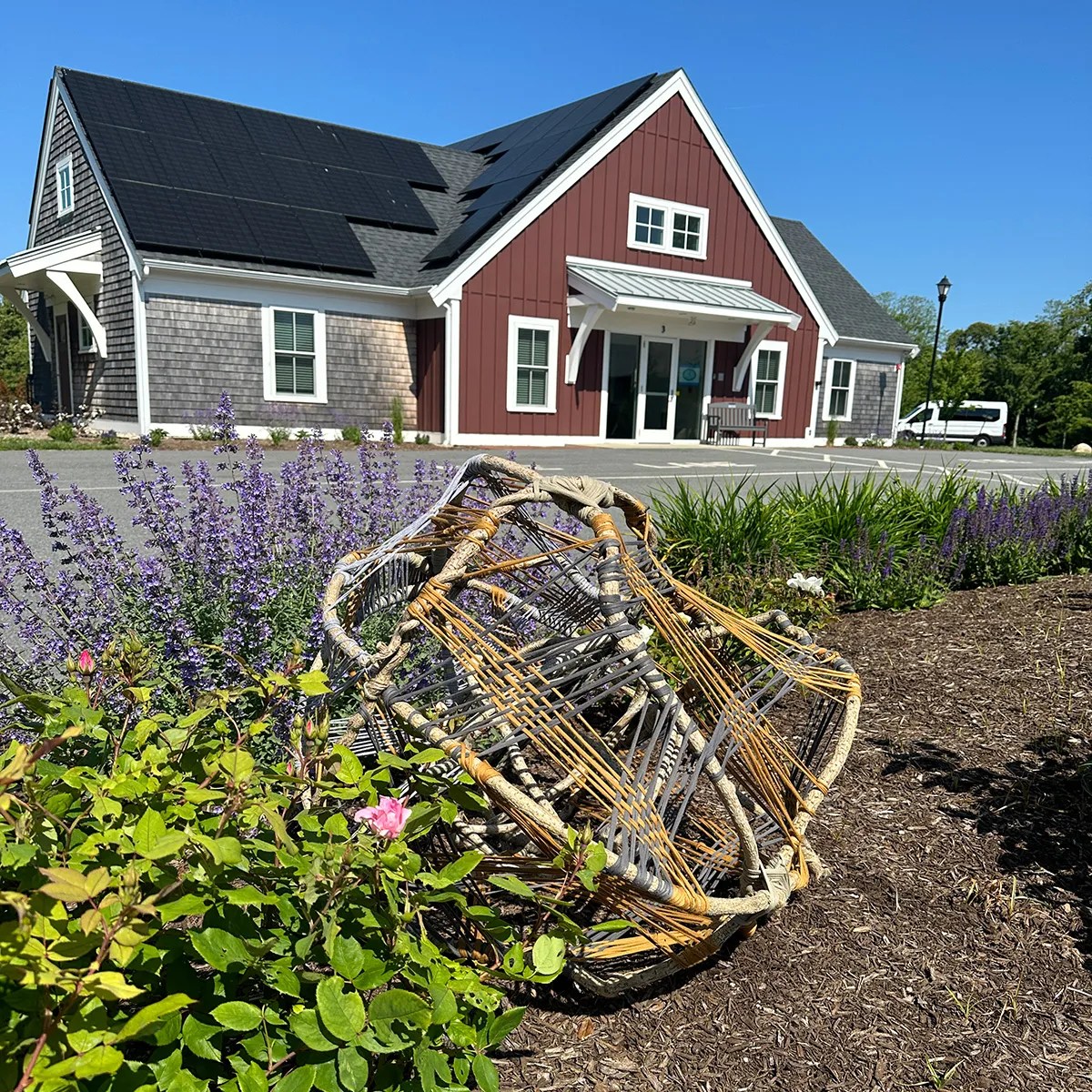 bitterseet and upcycled tshirt yern garden org in front of Cape Cod Village Center