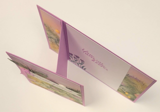 #stampwithlisabrown #thoughtfuljourney #creativefoldcard