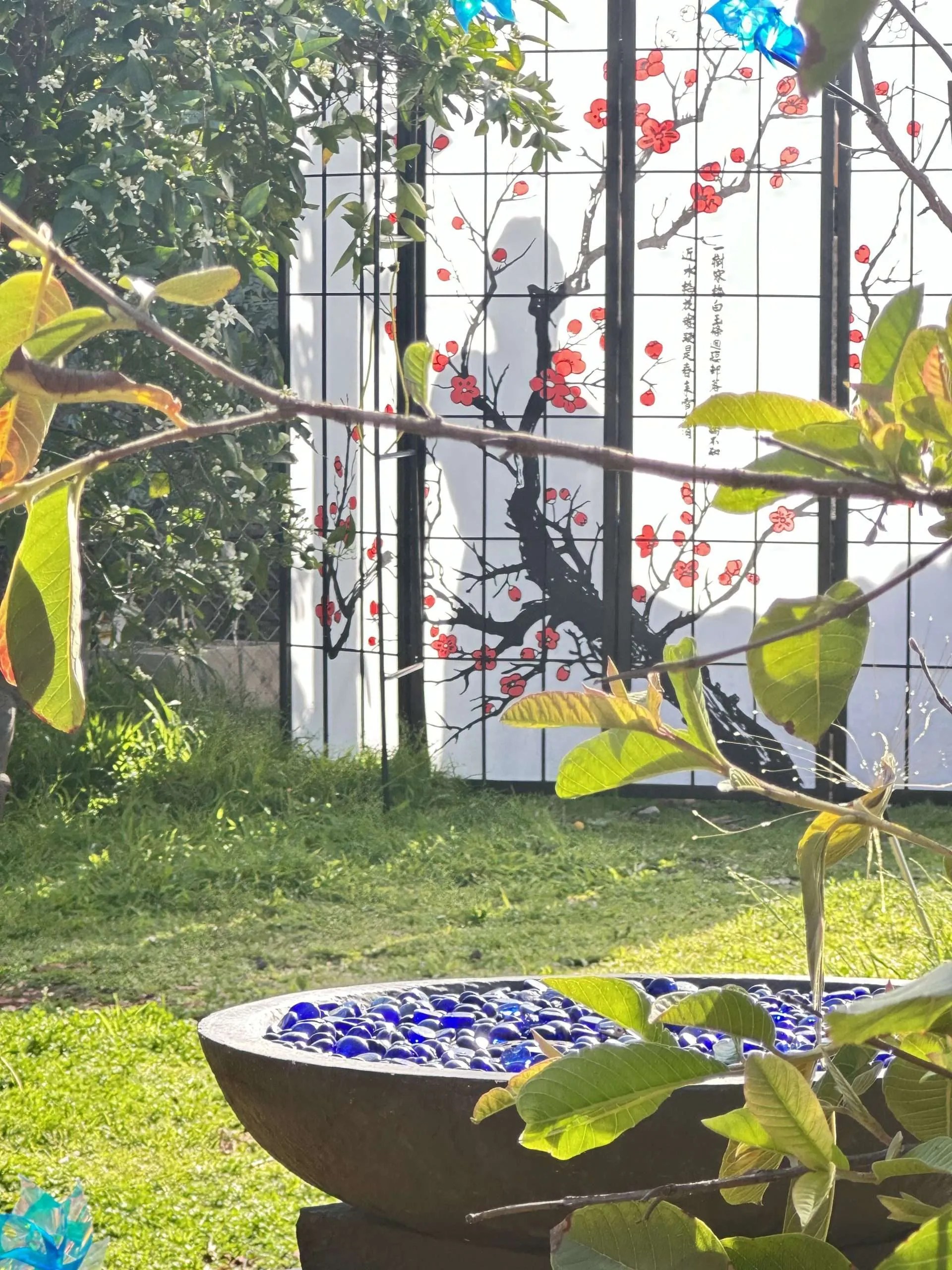 from spa room to garden from spa room to garden