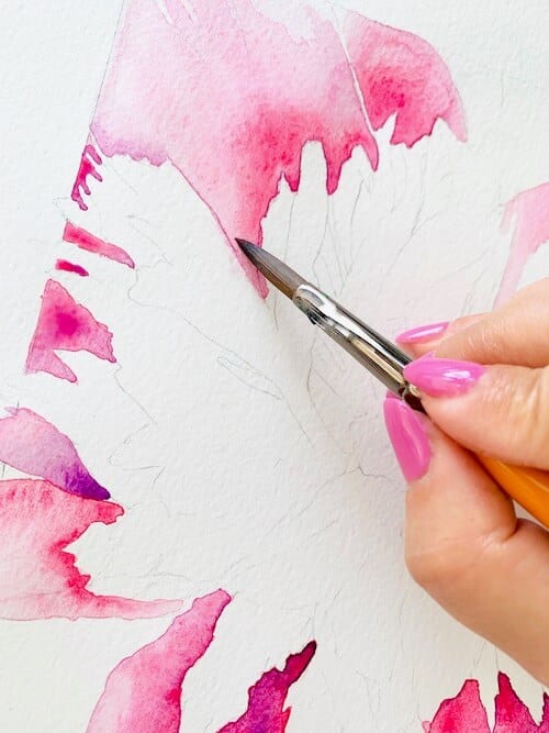 Pfingstrose Zeichnen Lernen How To Draw A Peony Rose Peonia Drawing Kak Se Risuva Bozhur Youtube