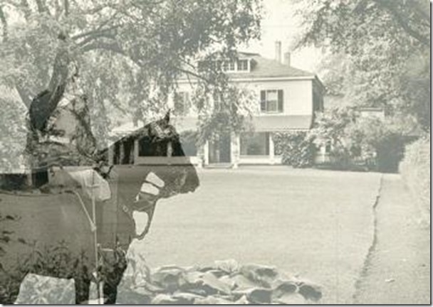 Fall Events London Ontario 2015