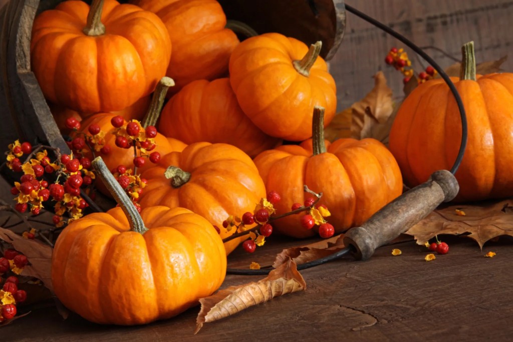 Rustic fall display with small orange pumpkins, dried leaves, and red berries spilling from a wooden basket. Perfect Halloween Decorations for All of Fall