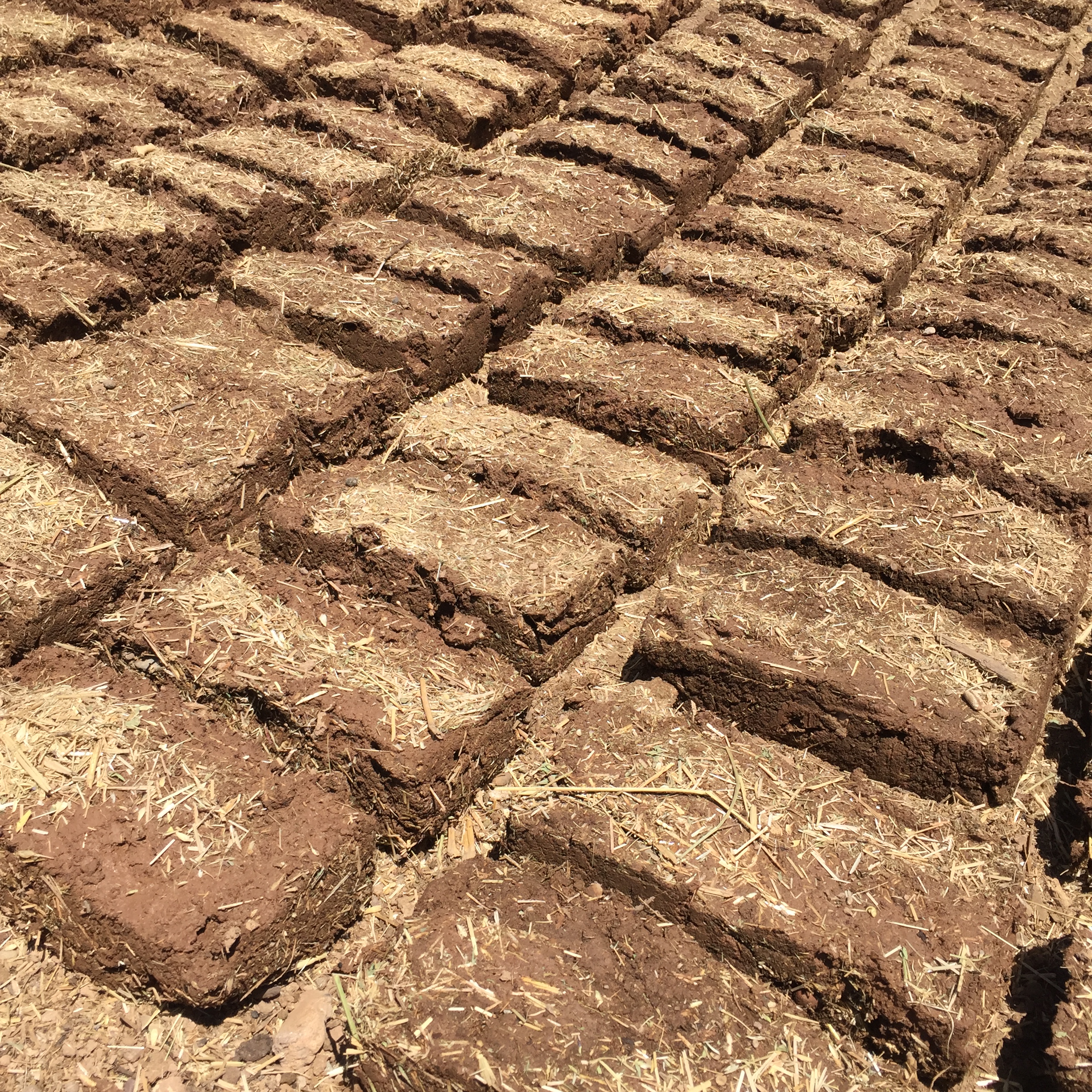 Mud Bricks