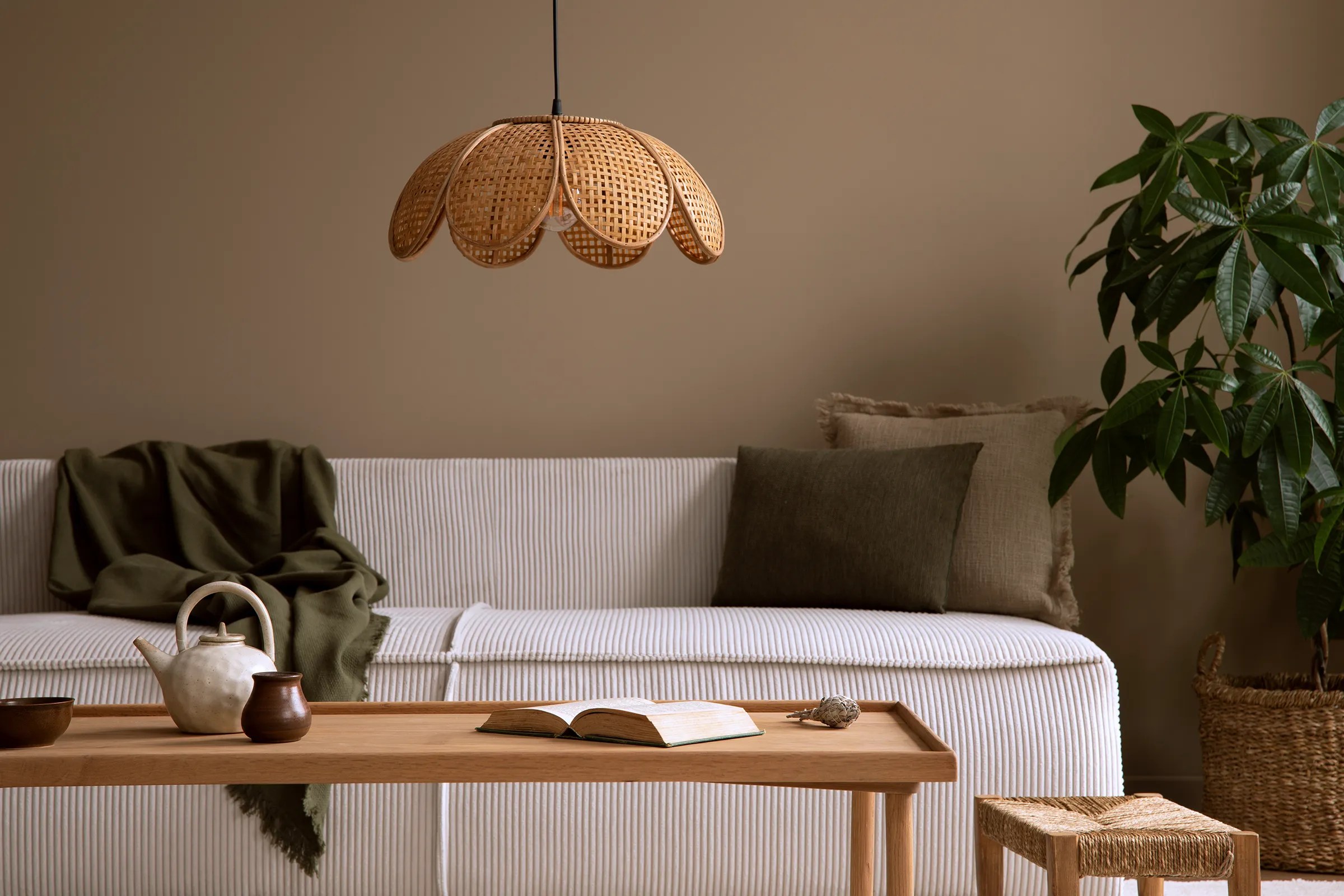 Serene living room setup with natural light and greenery