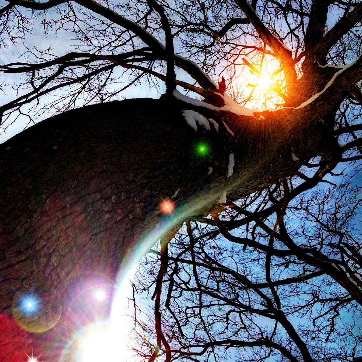 treee