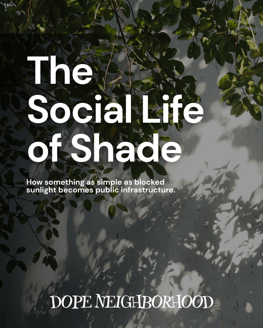 A graphic with the title 'The Social Life of Shade' and a subtitle discussing how blocked sunlight contributes to public infrastructure, accompanied by green leaves casting shadows on a wall.