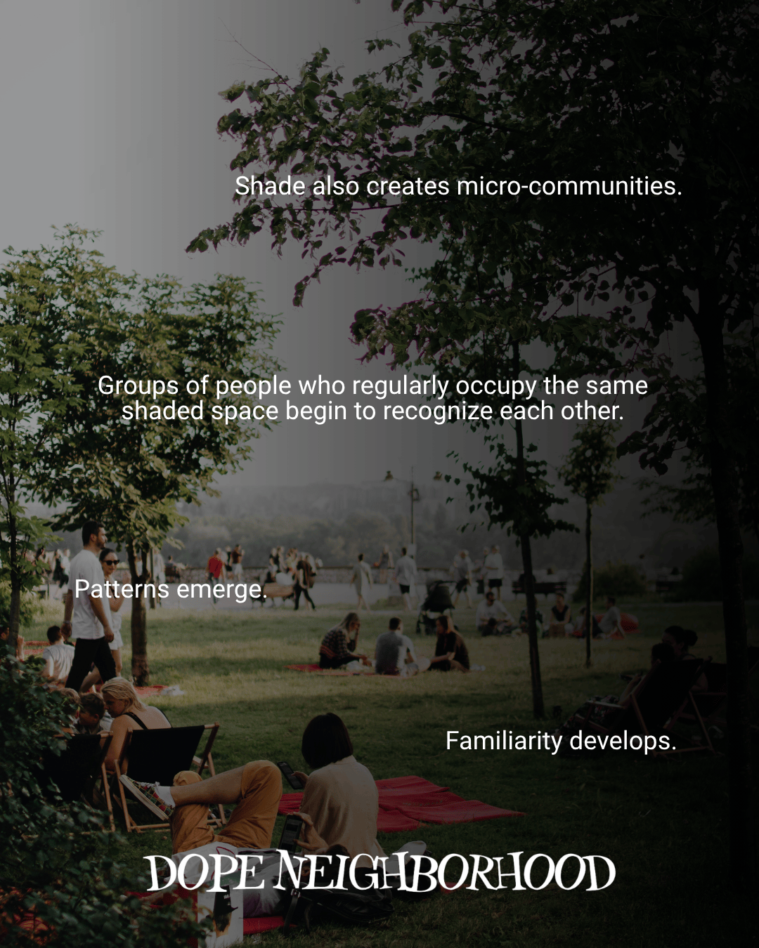 People enjoying a sunny day in a shaded park, surrounded by trees, with various groups sitting on picnic blankets and engaging in social activities. Text overlays discuss the formation of micro-communities and familiarity among regular visitors.