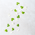 An exceptional silicone mold designe, featuring four distinct shapes for culinary creativity.
