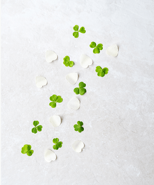 An exceptional silicone mold designe, featuring four distinct shapes for culinary creativity.