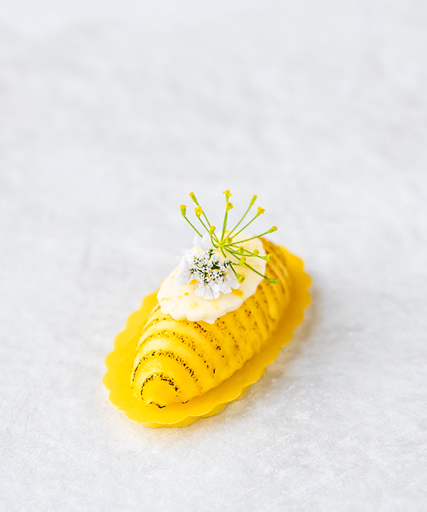 Introducing "The Gnocchi Mold ," a delightful silicone food mold that brings a touch of nature’s charm to your culinary creations. Ideal for everything from cakes and chocolates to jellies and savoury dishes, "The Mold" adds a unique and enchanting element to your kitchen artistry.