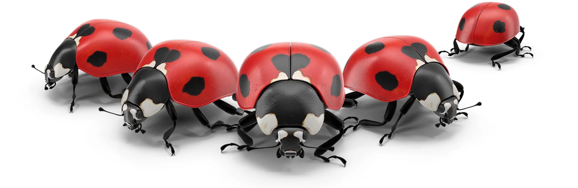 Free download adobe photoshop 3d shapes vectors files in editable.ai.eps.svg format ✓ premium quality ✓ free for commercial use ✓ free & easy download . Free 3d Photoshop Objects From Pixelsquid Creativepro Network