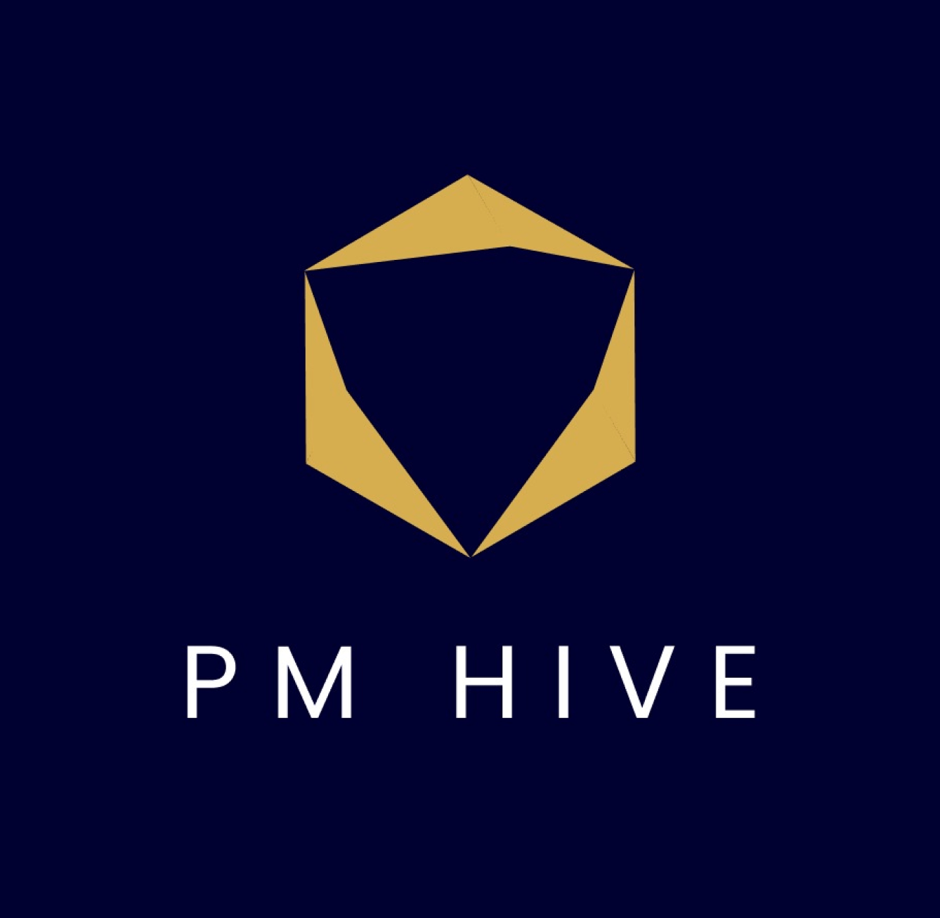 PM Hive