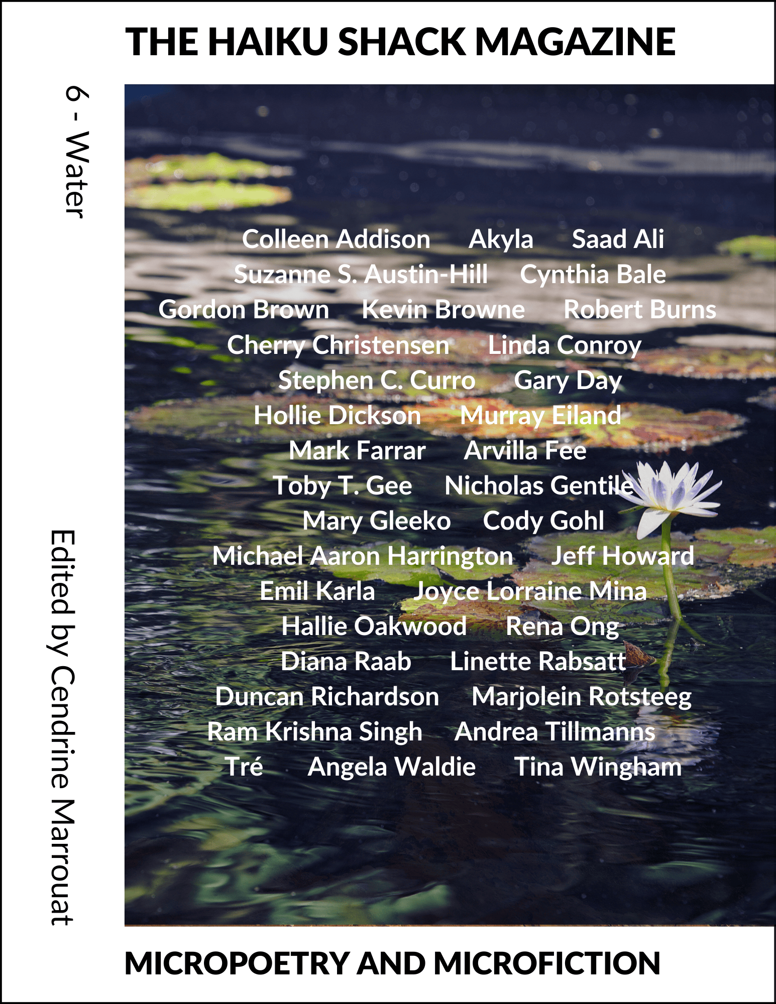The Haiku Shack Magazine: Issue 6 is out!