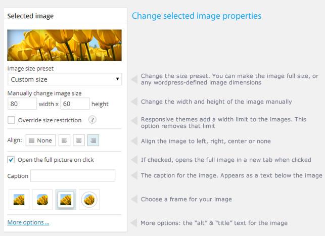 Image Pro - wordpress-image-optimization-plugin-08