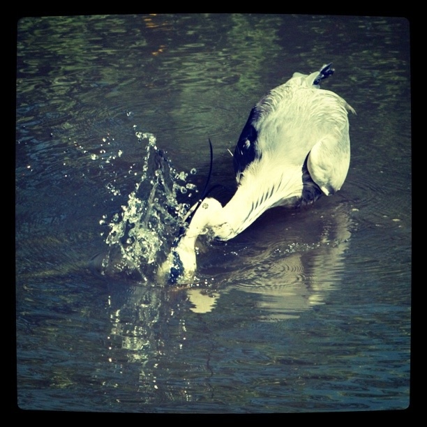 Yes, kill that fish. Or whatever you're hunting.