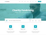 16 Charity Html5 Css3 Website Templates Creative Template