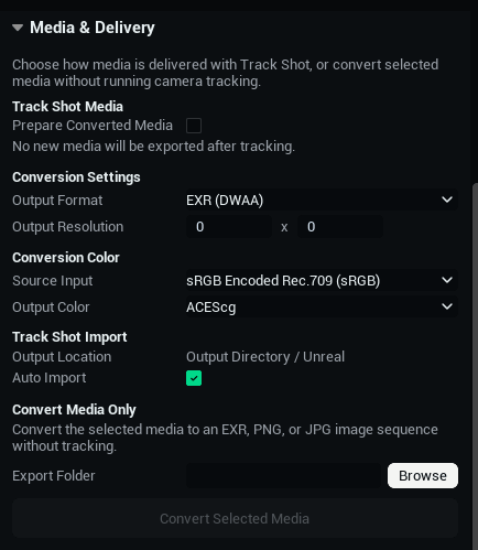 Configure converted media and automatic Unreal import.