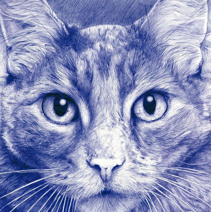 gato paco marmol ilustracion