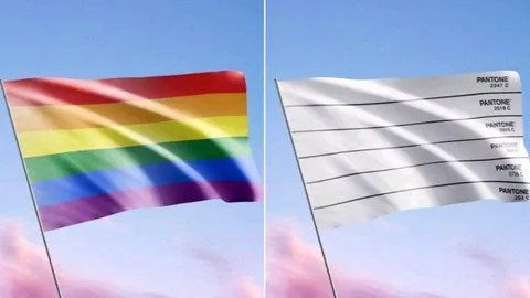 bandera arcoiris blanca pantone