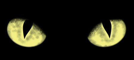 кода человека в темноте как нарисовать