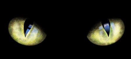 кода человека в темноте как нарисовать