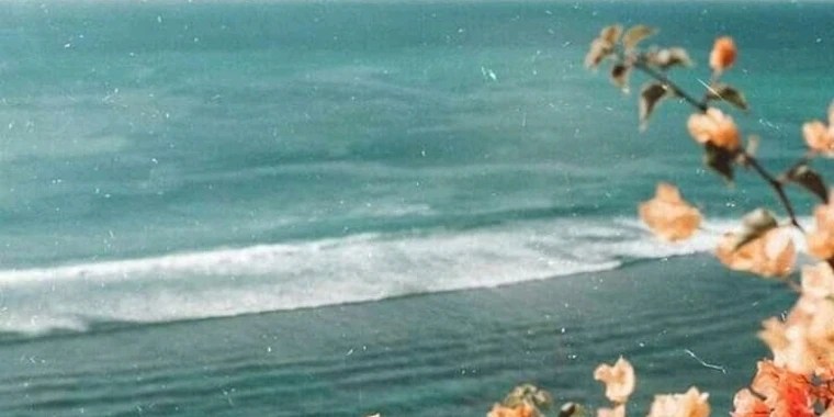 Cocomelon OnlyFans | @coco_melon69 review (Leaks, Videos, Nudes)