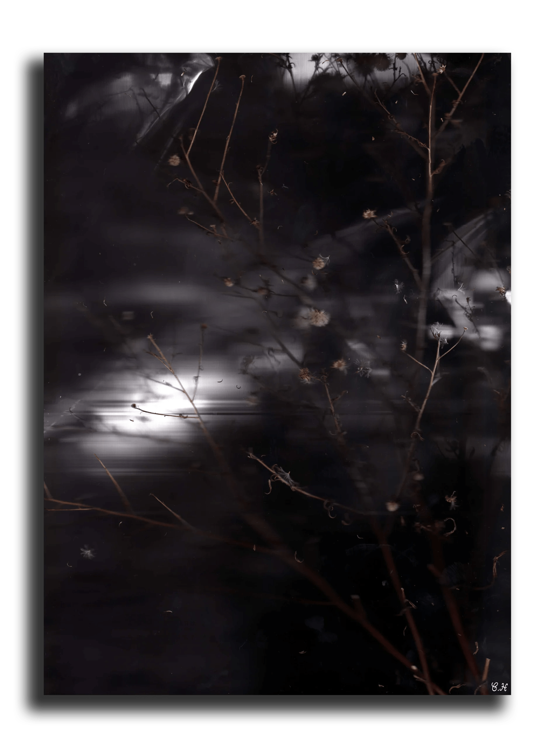 Black Moon Dance
