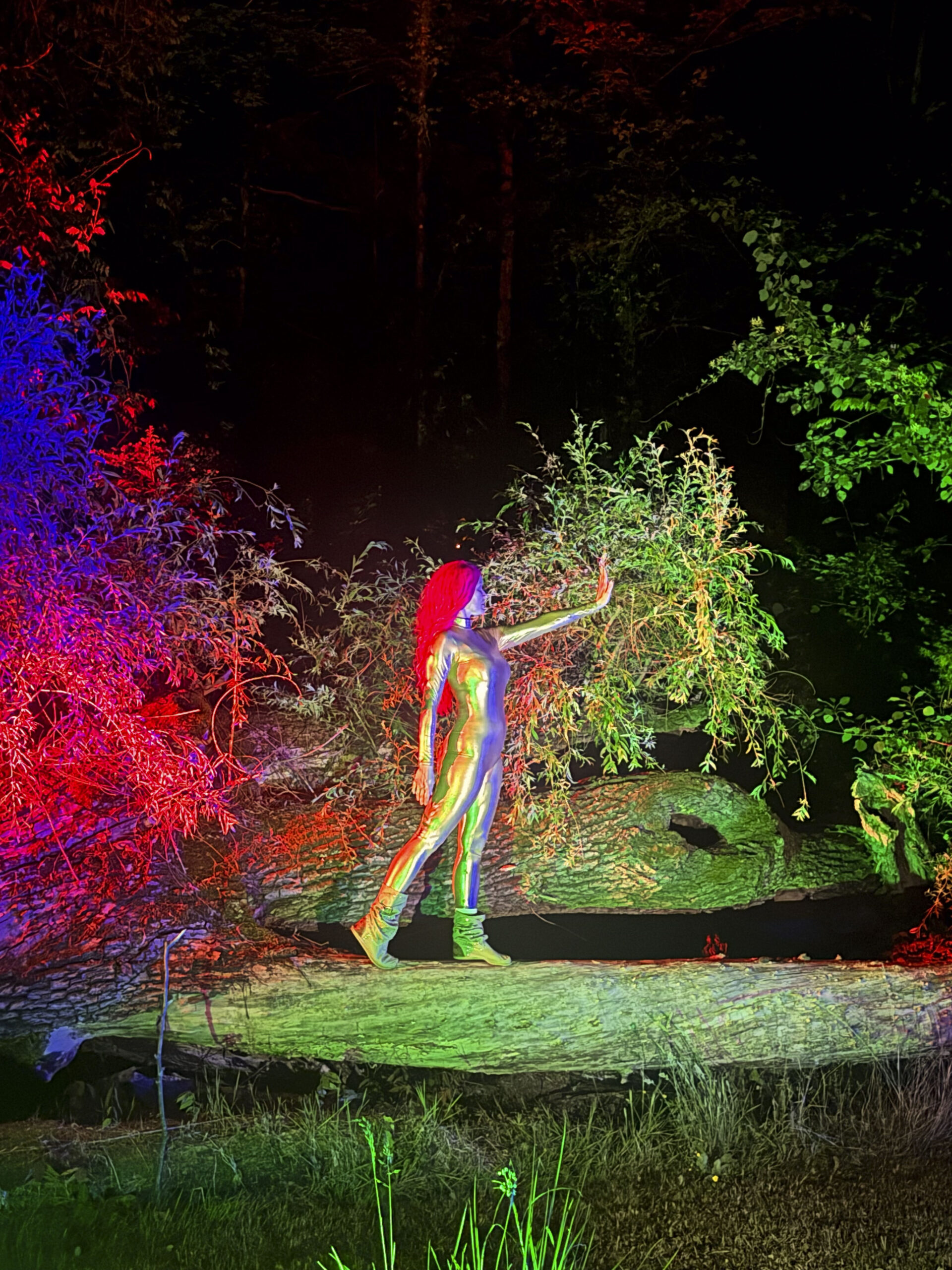 Summer Solstice Portal: Meditation on Impermanence - Creatrix magazine