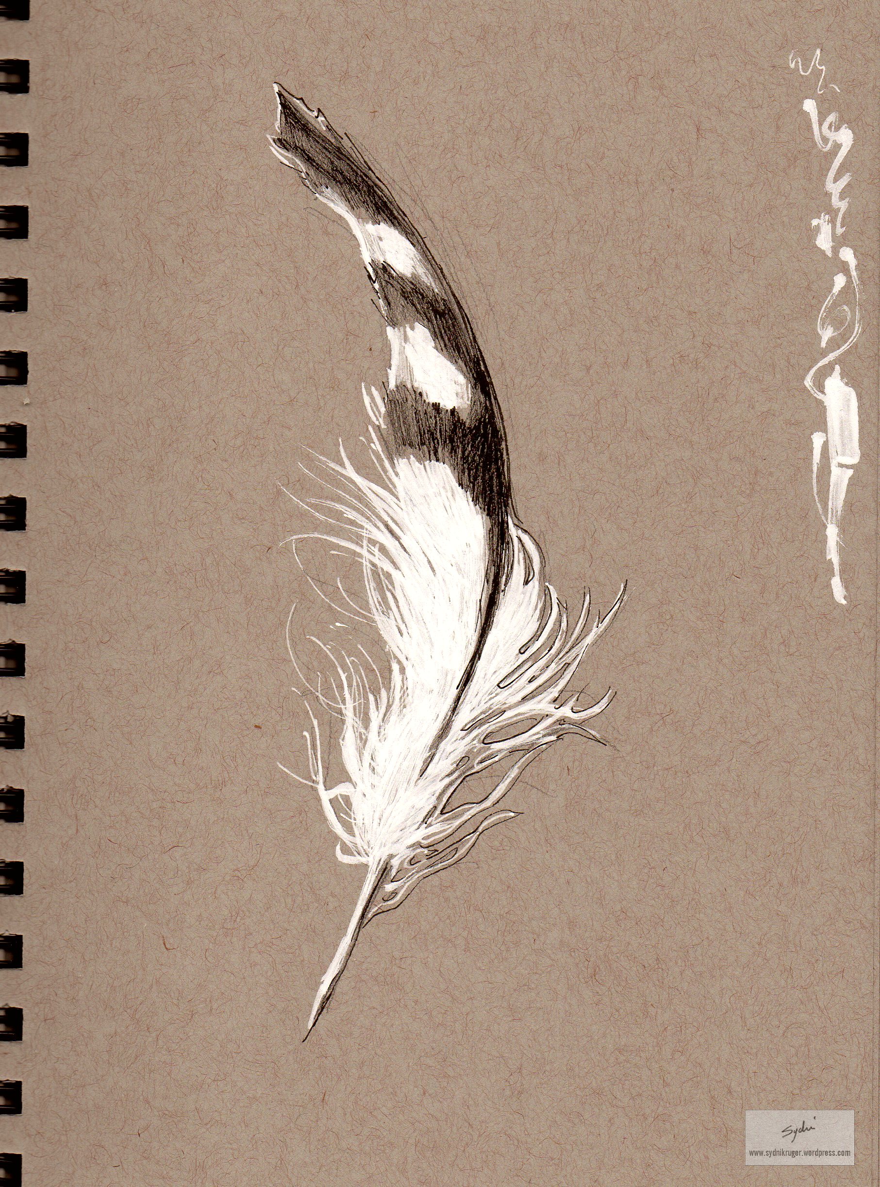 Feather080