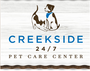 creekside pet care center 247 veterinarian in keller tx on creekside pet care keller tx