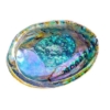 Abalone Shell for smudging herbs