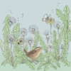Flora & Fauna - Wren and Dandelions greeting card by Emma