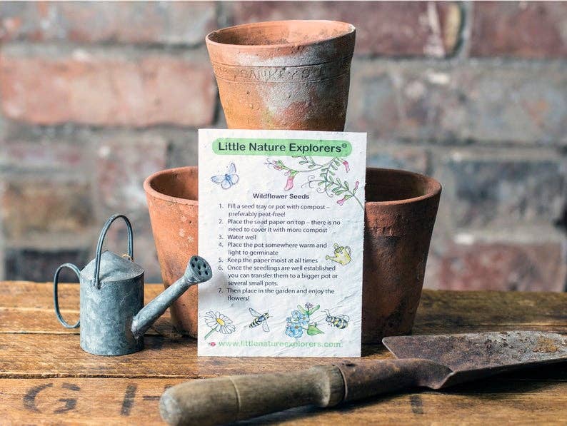 Little Nature Explorers - Wildflower Seed Paper -