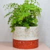 Plant Pot - Fall Berry