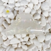 Cherish Hair Claw, White
