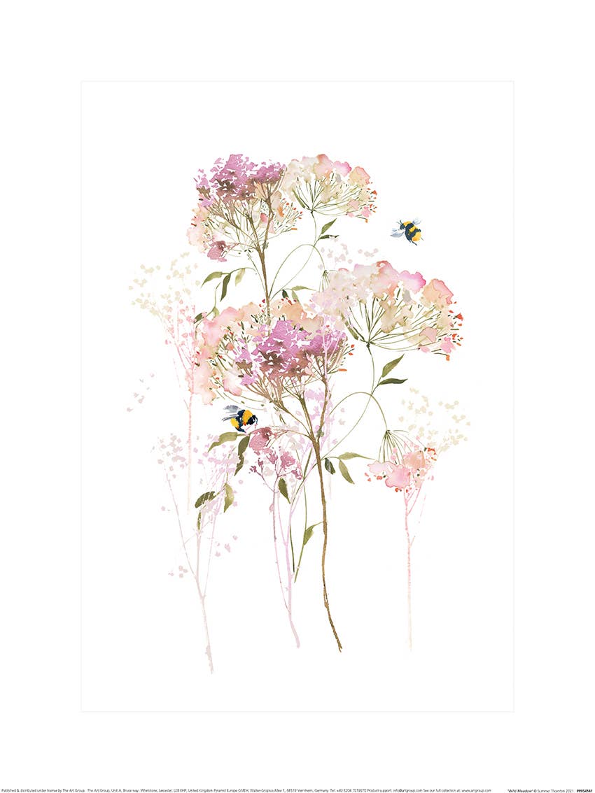 Summer Thornton (Wild Meadow) - PPR54141, 30 x 40cm Floral